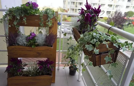 Garten & Balkon